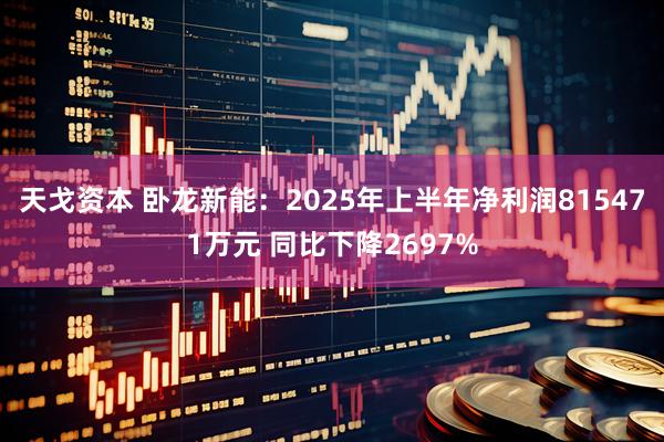 天戈资本 卧龙新能：2025年上半年净利润815471万元 同比下降2697%