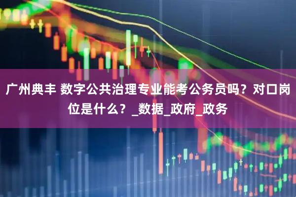 广州典丰 数字公共治理专业能考公务员吗？对口岗位是什么？_数据_政府_政务