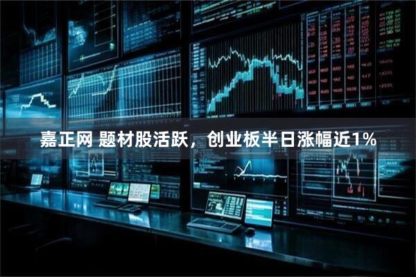 嘉正网 题材股活跃，创业板半日涨幅近1%